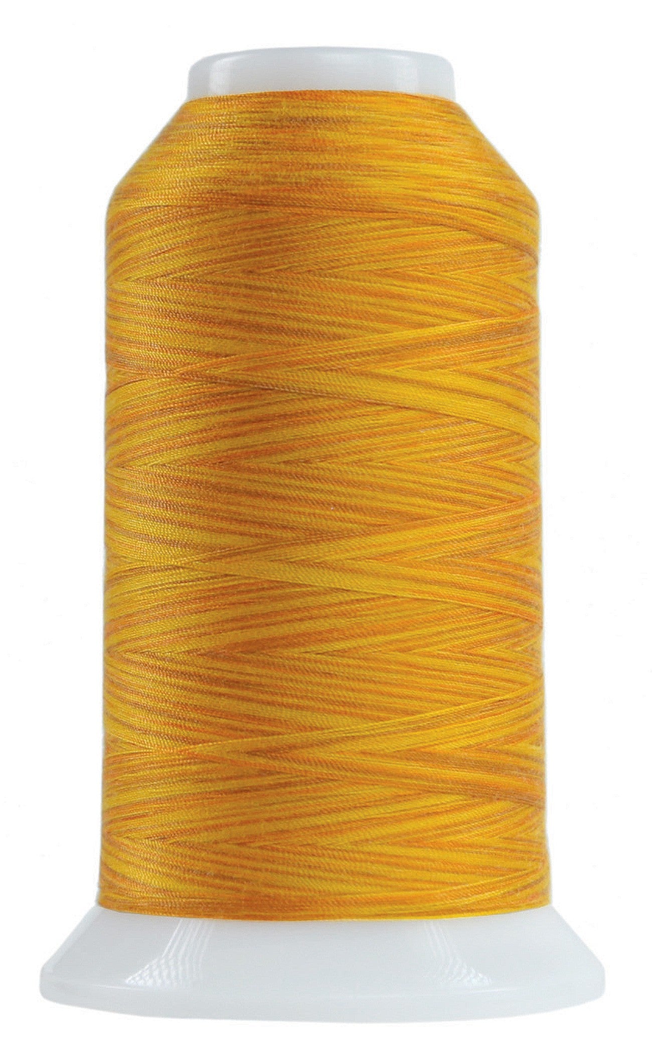Omni Variegated Polyester Thread 40wt 2000yd Zenith