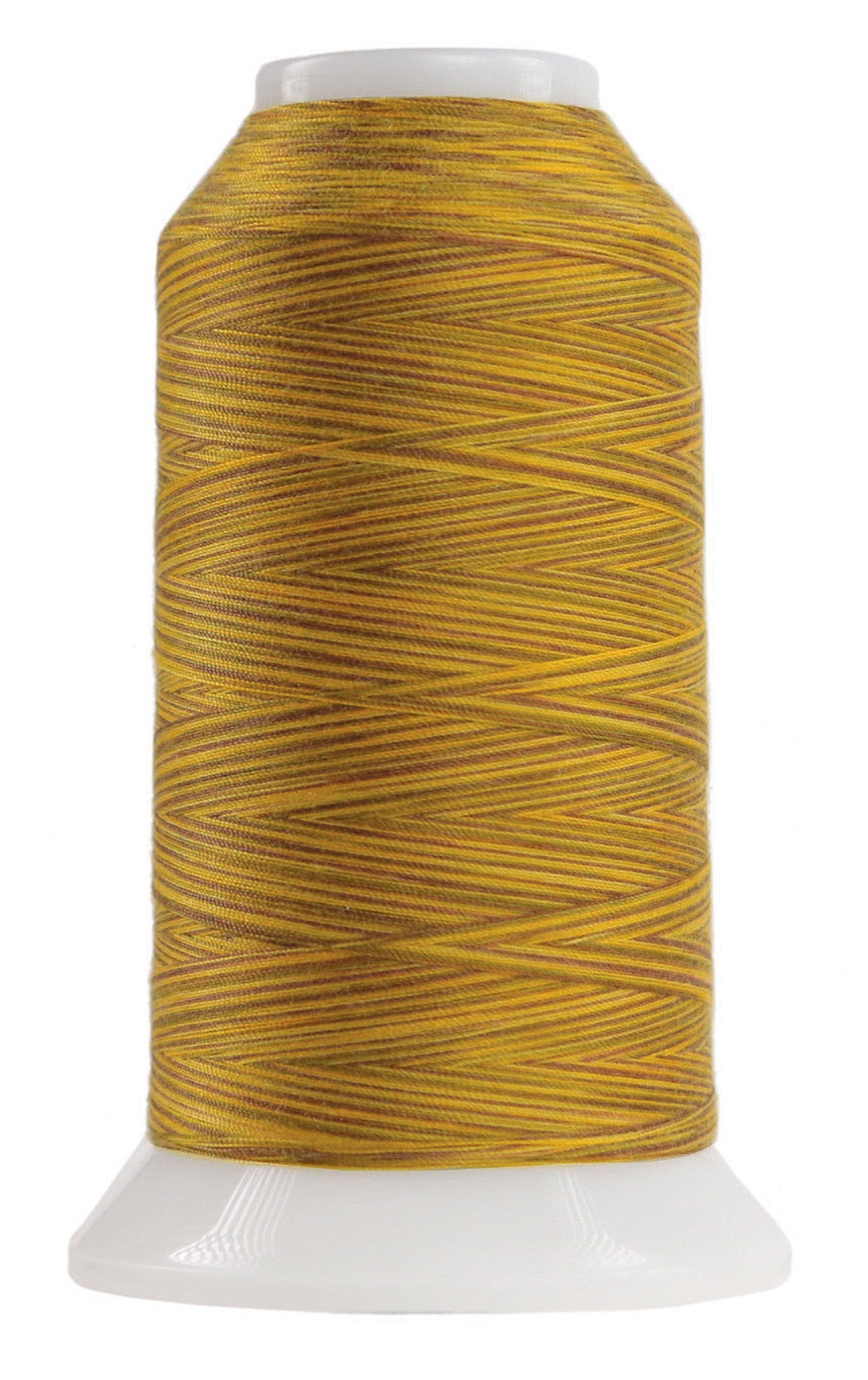 Omni Variegated Polyester Thread 40wt 2000yd Leo the Lion