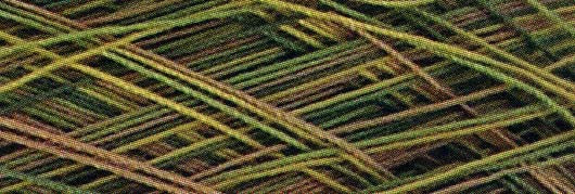 Machine Cotton Quilting Thread 3-ply 3000yd Variegated Green to Tan
