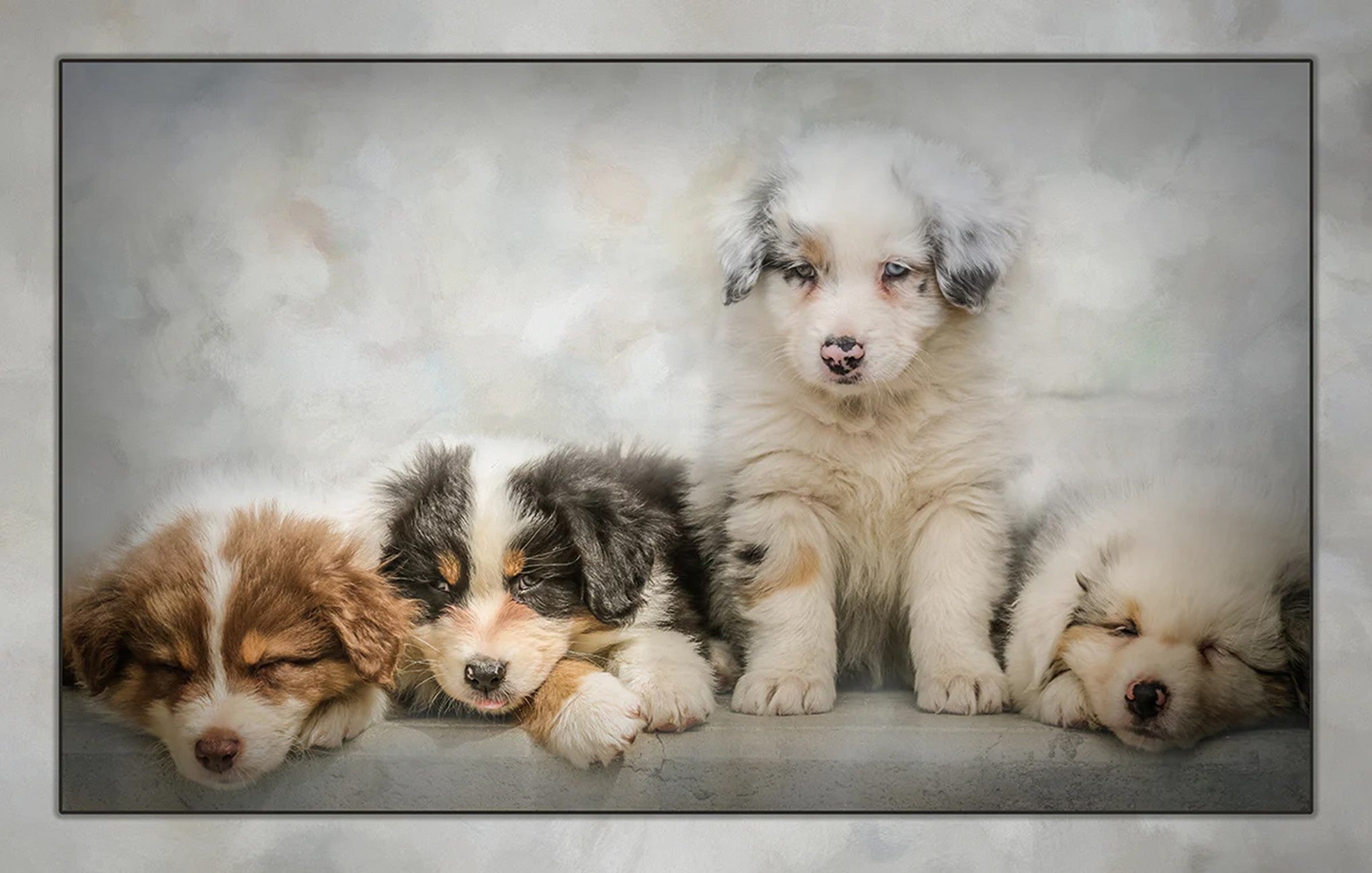 Puppy Cuteness Overload Panel 20in x 13.5in