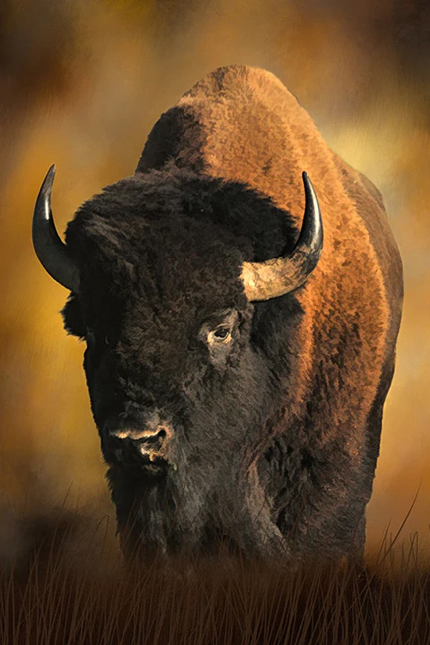 I'm the Boss Bison Panel 16in x 24in