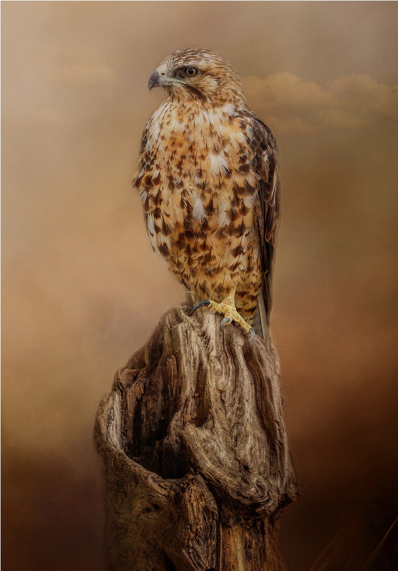 Looking for Dinner 14x20in Panel