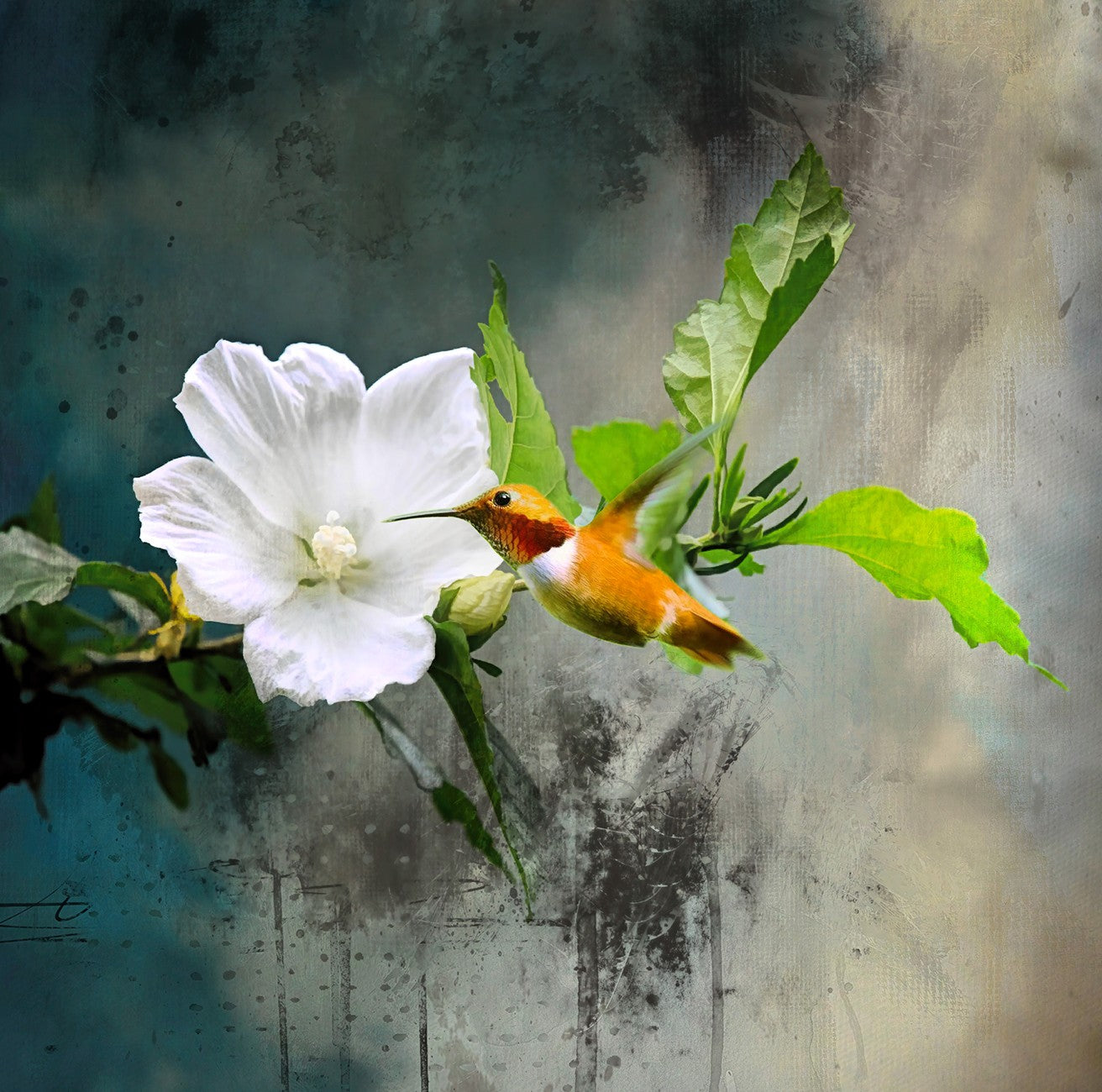 Hummingbird Abstract Background 20x20in Panel