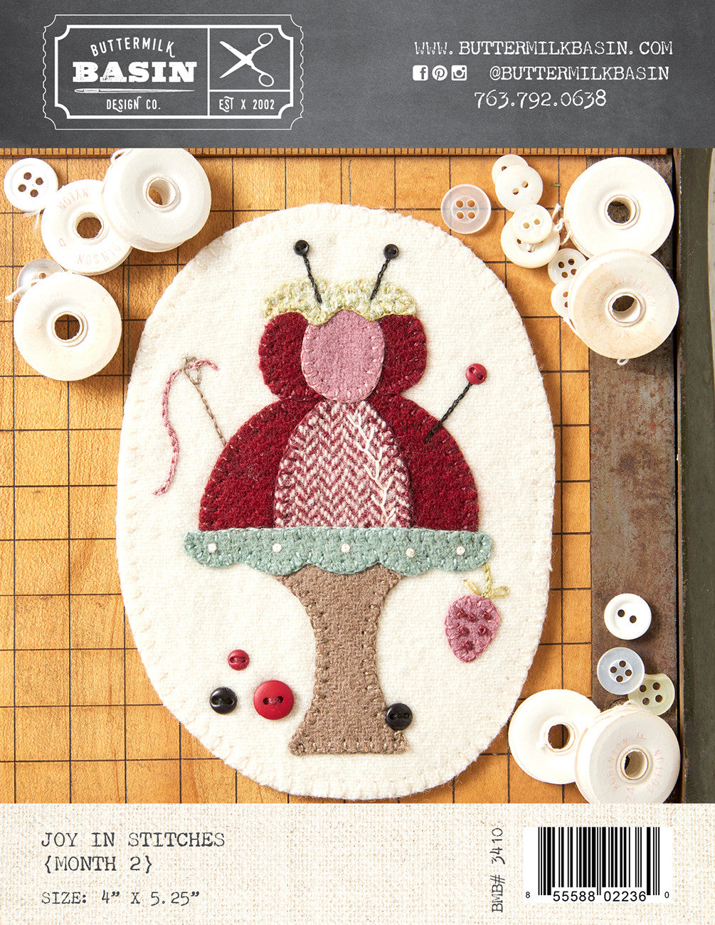 JOY in Stitches - Month 2