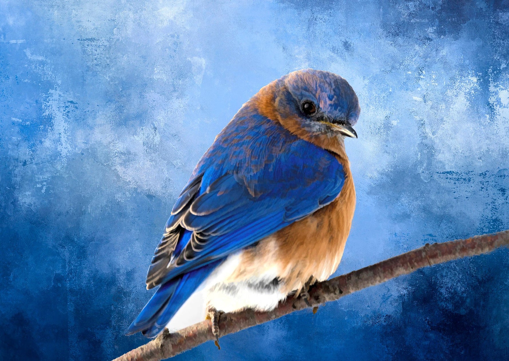 Brilliant Bluebird Panel 24.75in x 16.675in