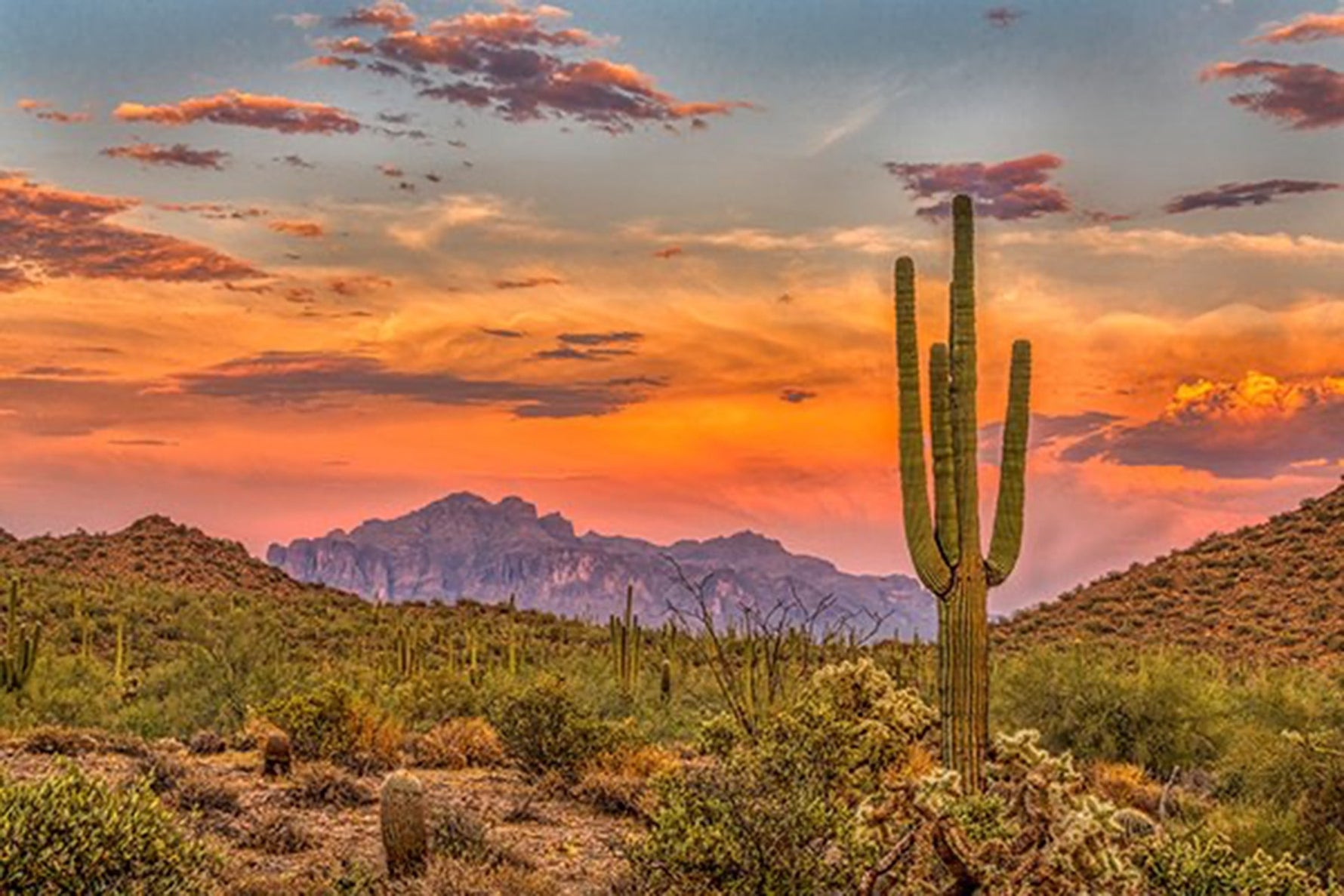 Classic Desert Scene Panel 24in x 16in
