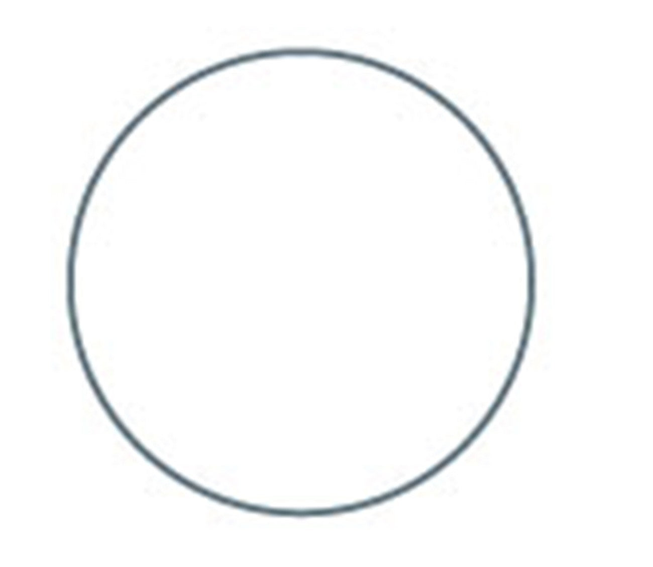 1in Circle EPP Iron-on applique shape x 100