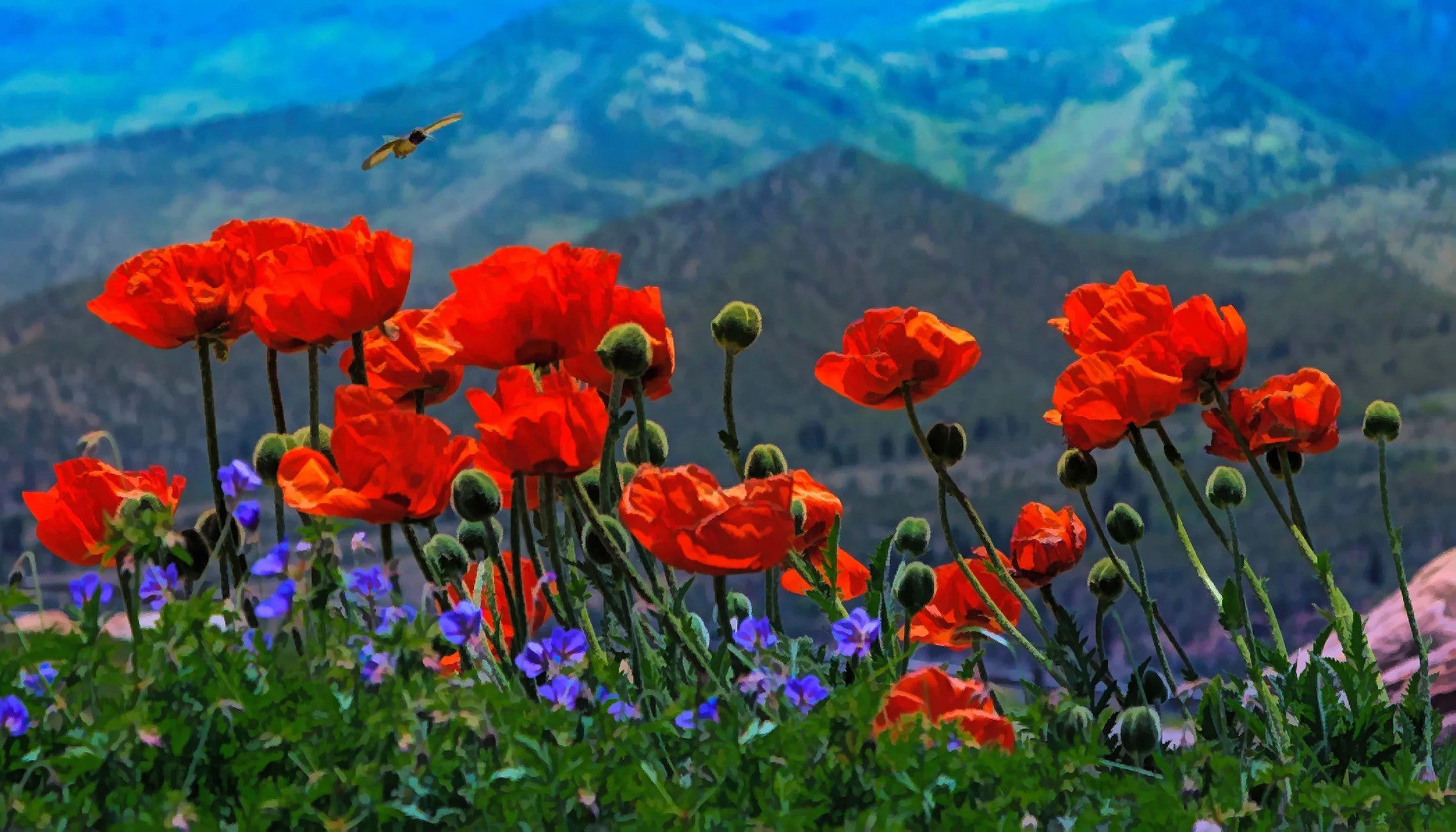 Red Poppies Panel 23.1in x 13in