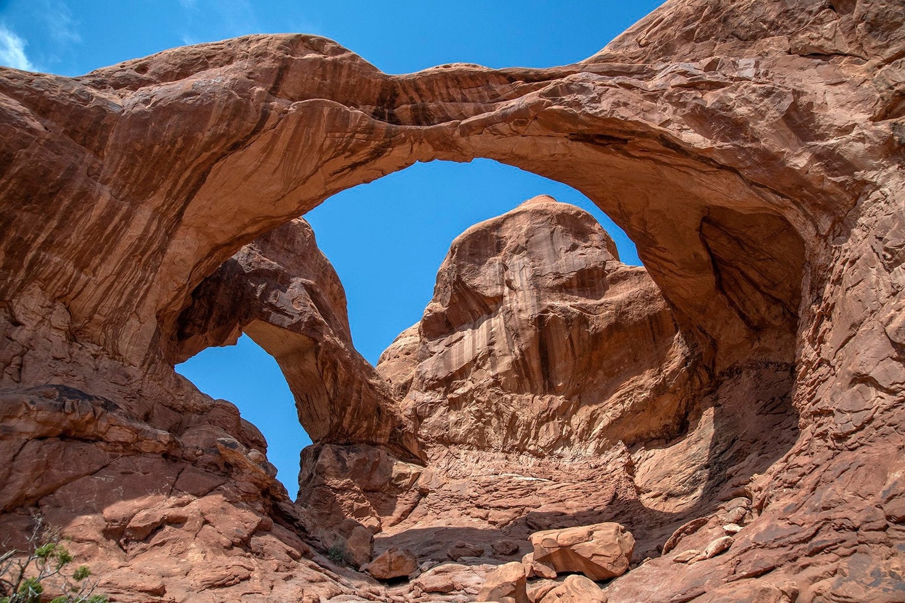 Arches NP Double Arch Panel 24in x 16in