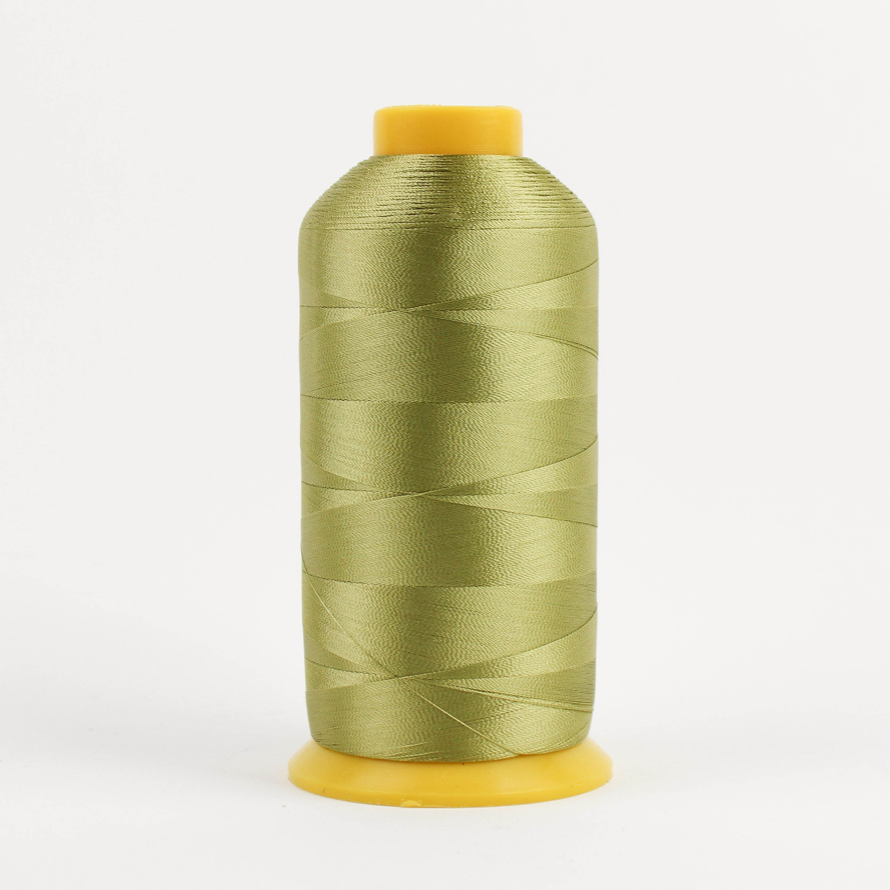 Splendor 40wt 2ply Rayon 4572m Light Pistachio
