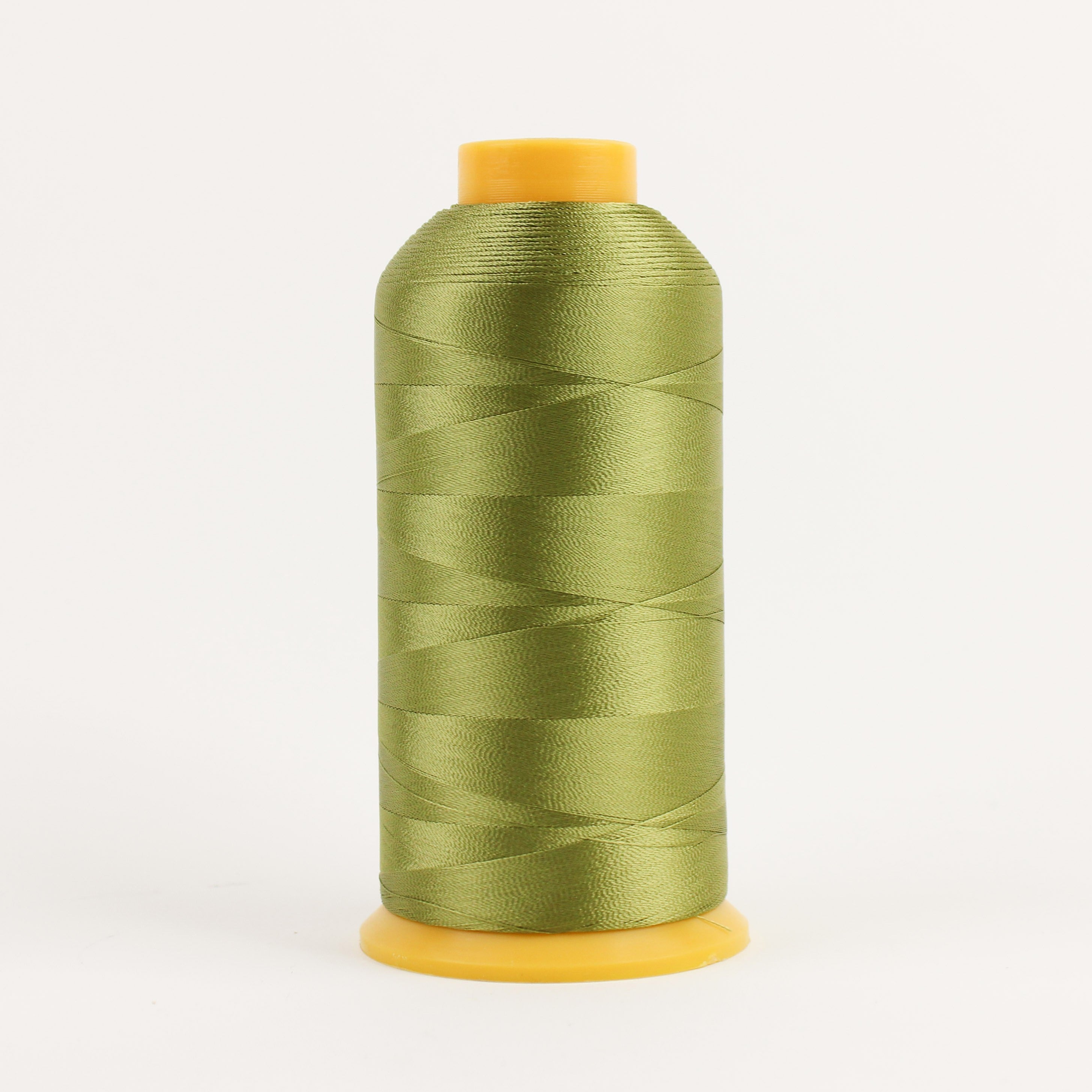 Splendor 40wt 2ply Rayon 4572m Medium Pistachio