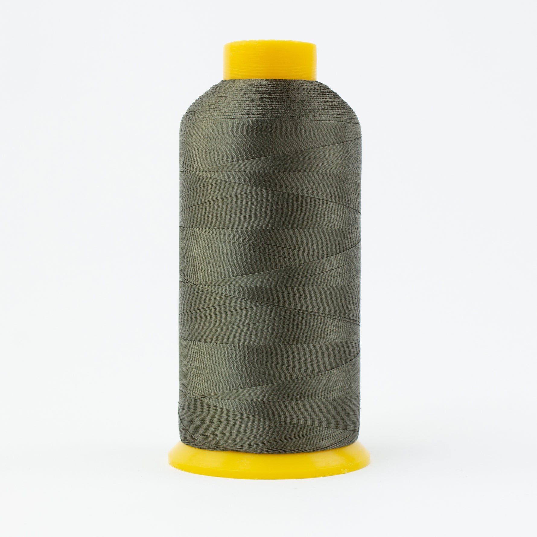Splendor 40wt 2ply Rayon 4572m Parsley
