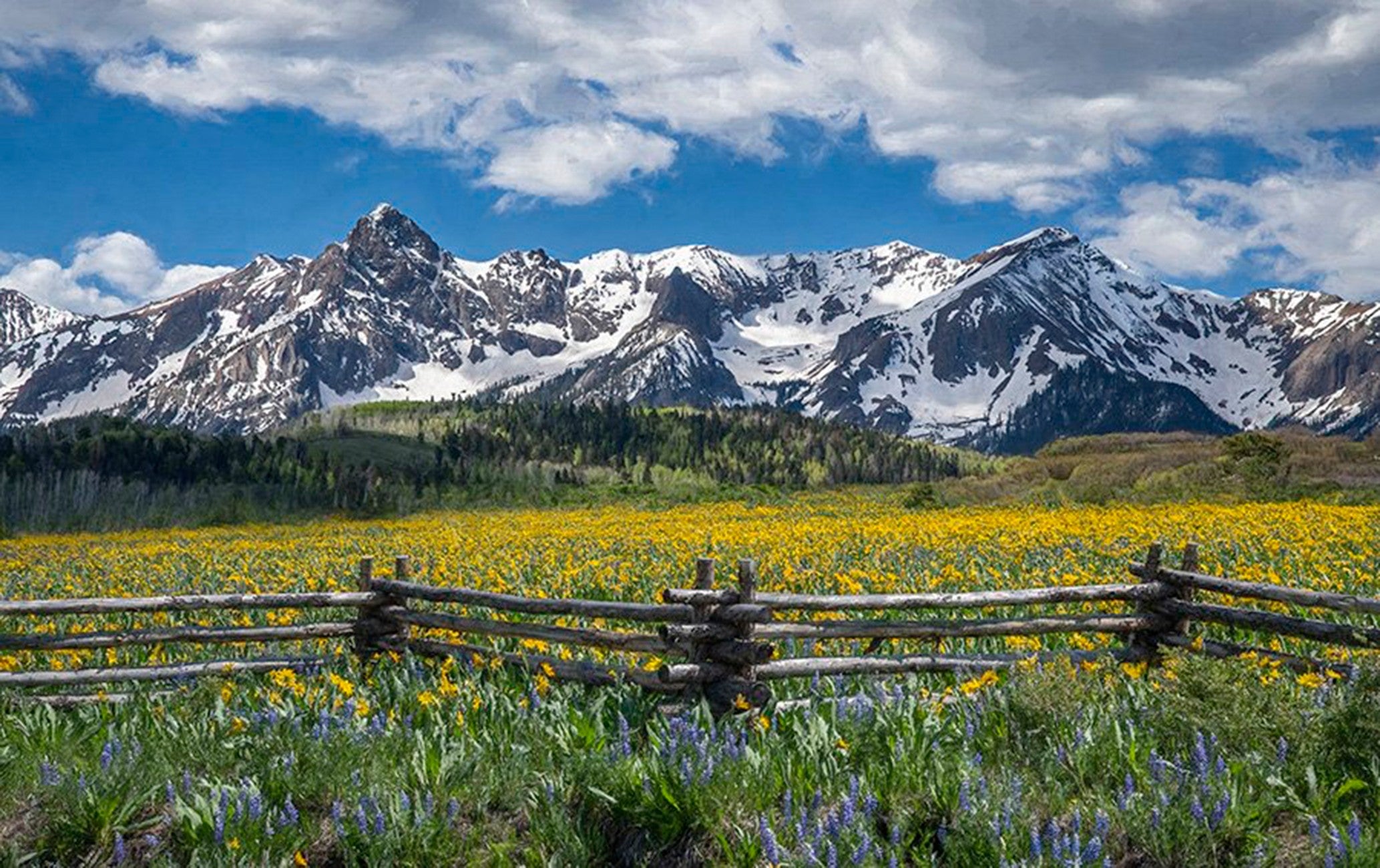 Summer in the Rockies Panel 34in x 22.25in