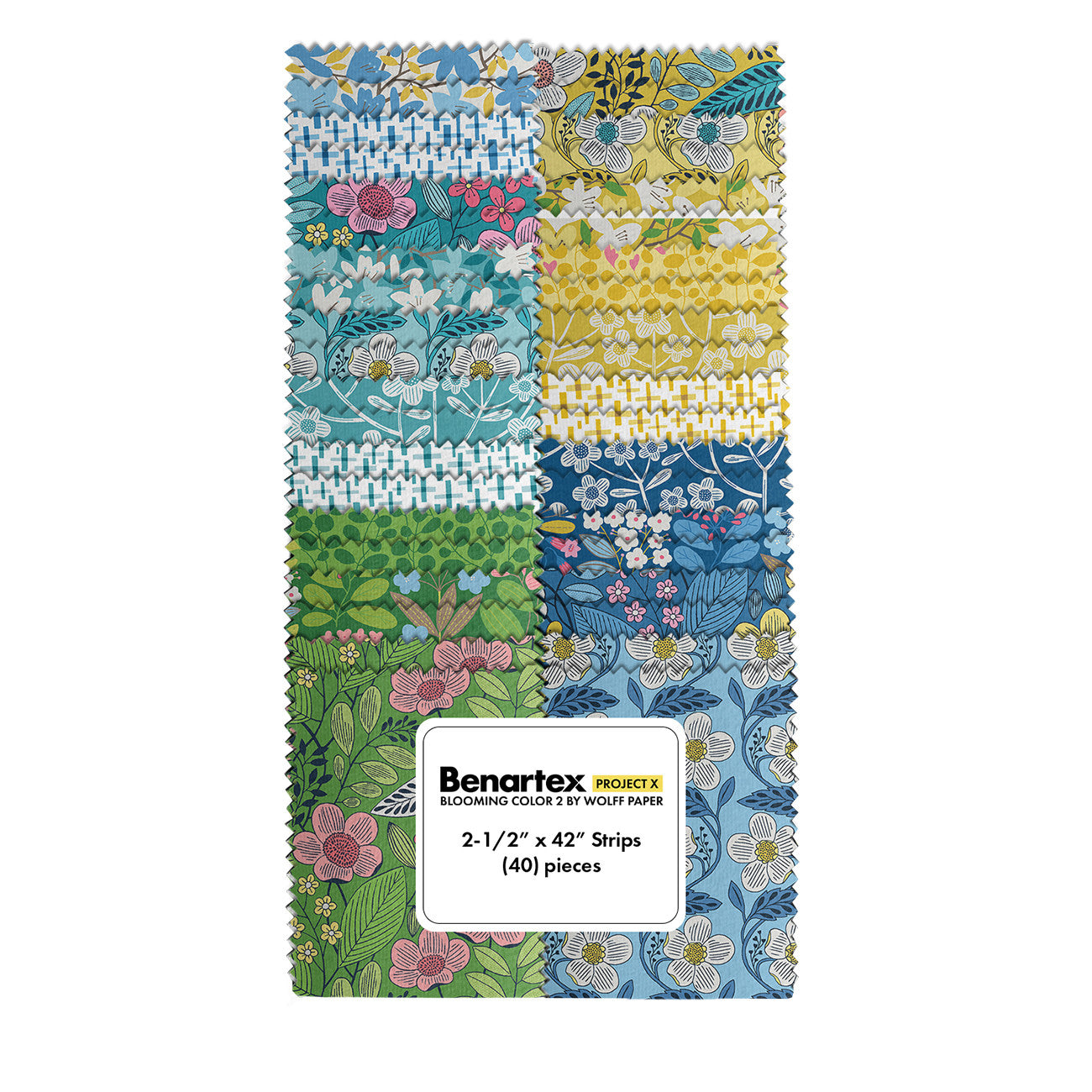 Blooming Color 2 2-1/2in Strips, 40pcs/bundle