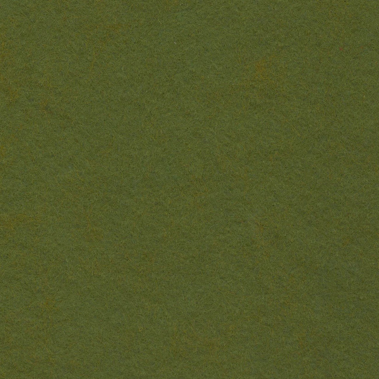 Wool Felt Moss 12in x 18in
