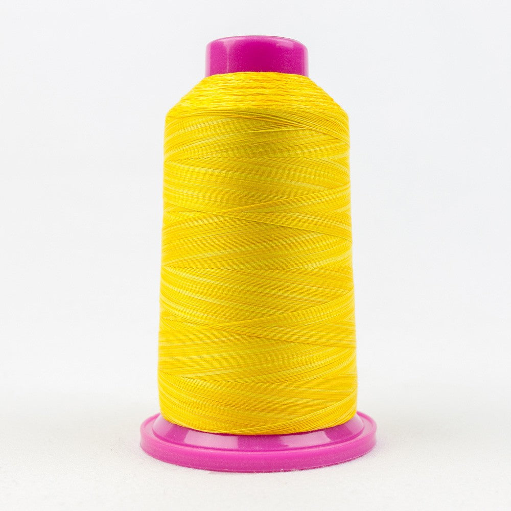 Tutti Variegated 50wt Cotton Thread 2286m Sunny