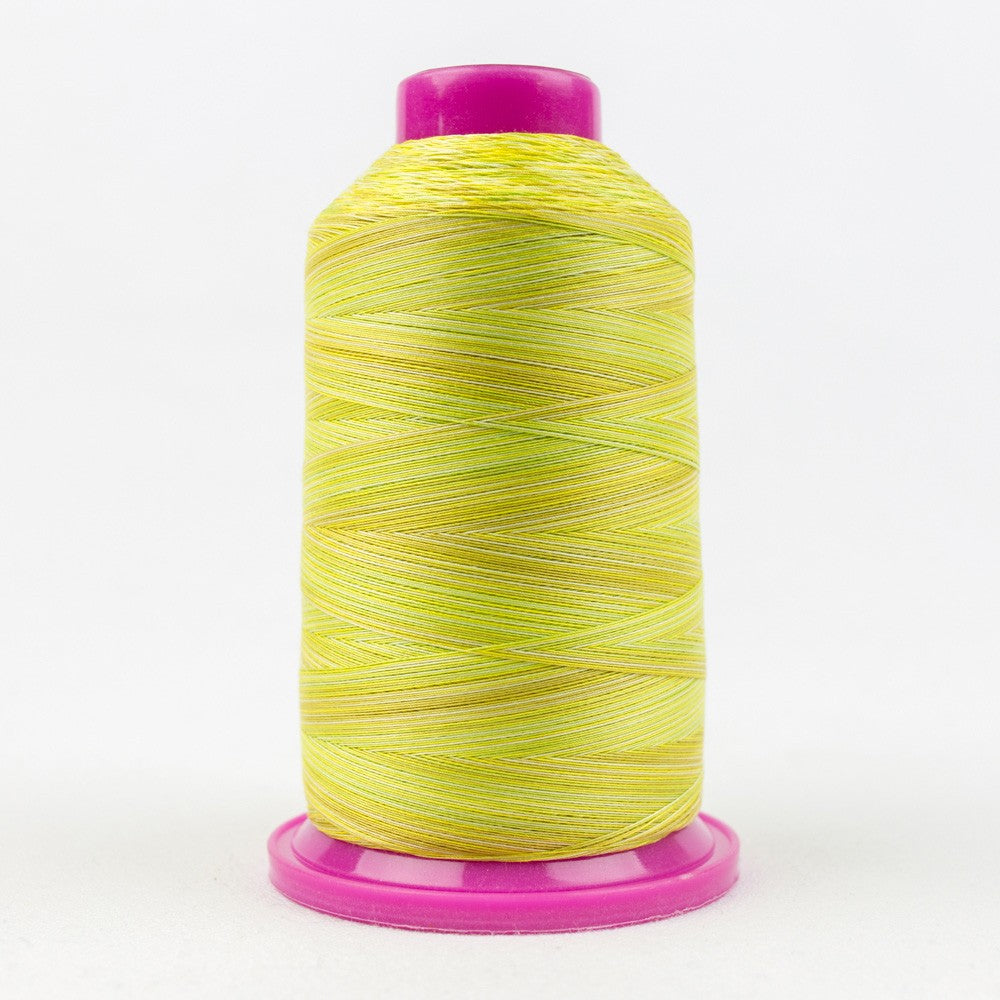 Tutti Variegated 50wt Cotton Thread 2286m Citrus