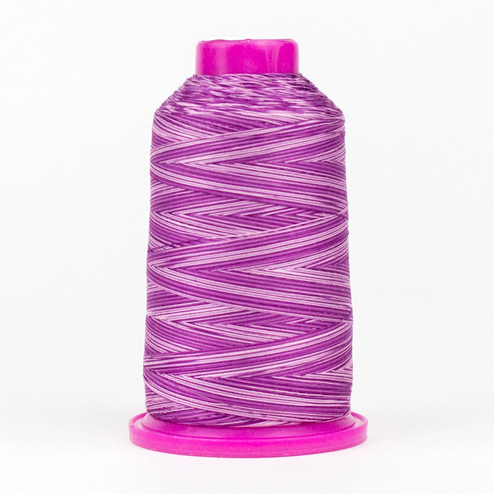Tutti Variegated 50wt Cotton Thread 2286m Grapes
