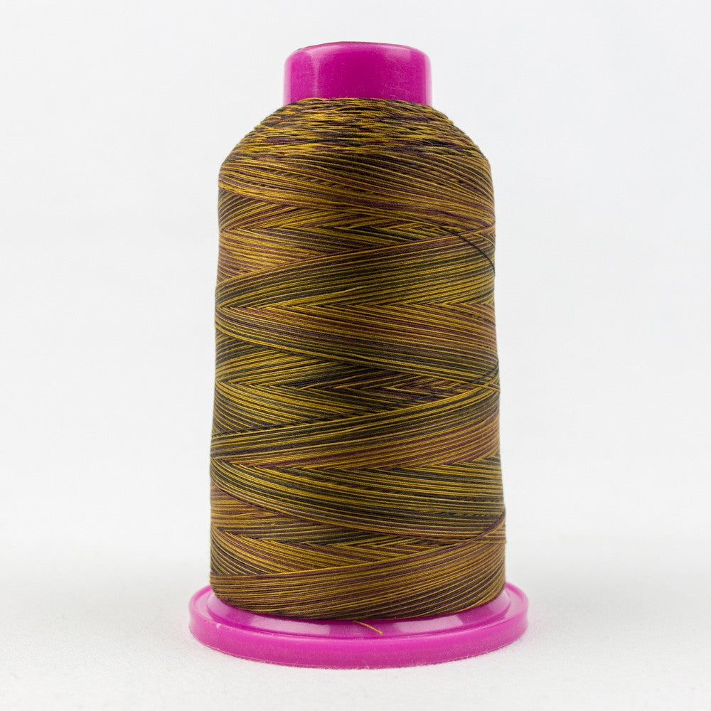Tutti Variegated 50wt Cotton Thread 2286m Box Turtle