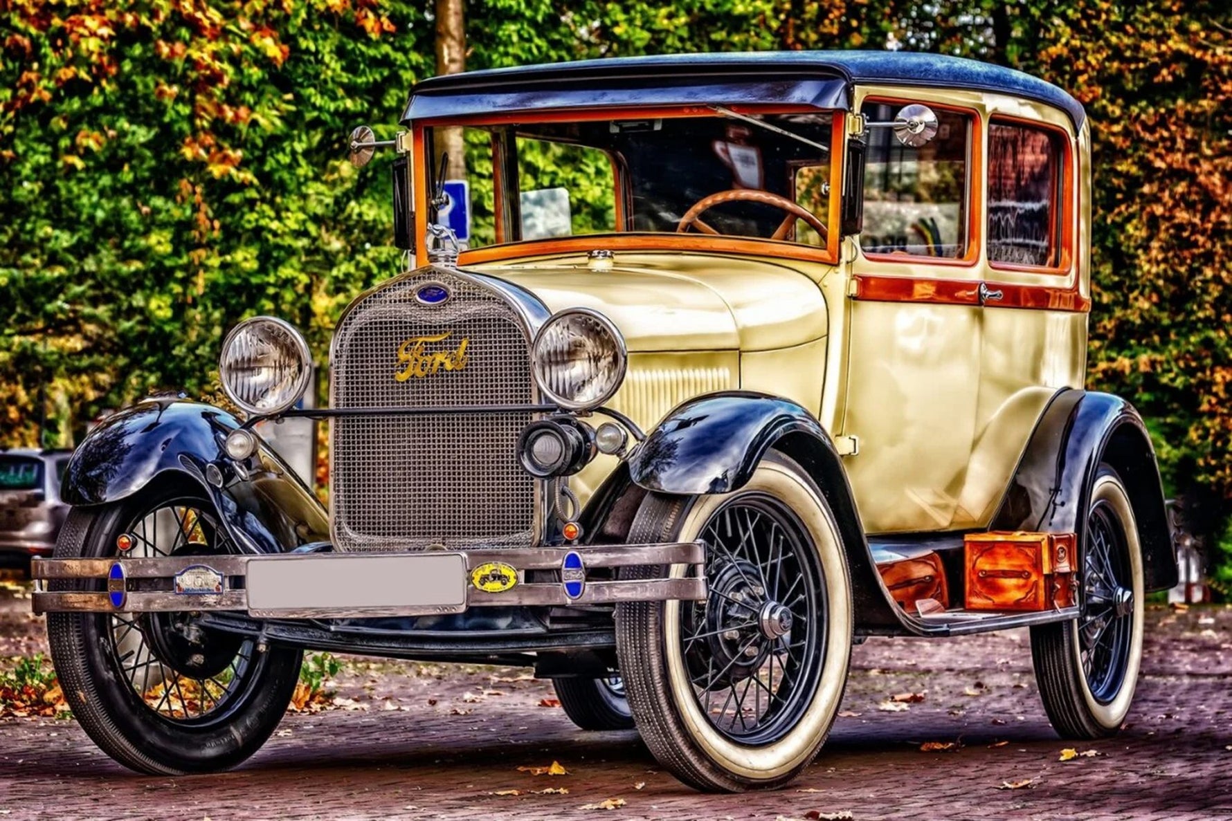 Vintage Ford Panel 24in x 16in