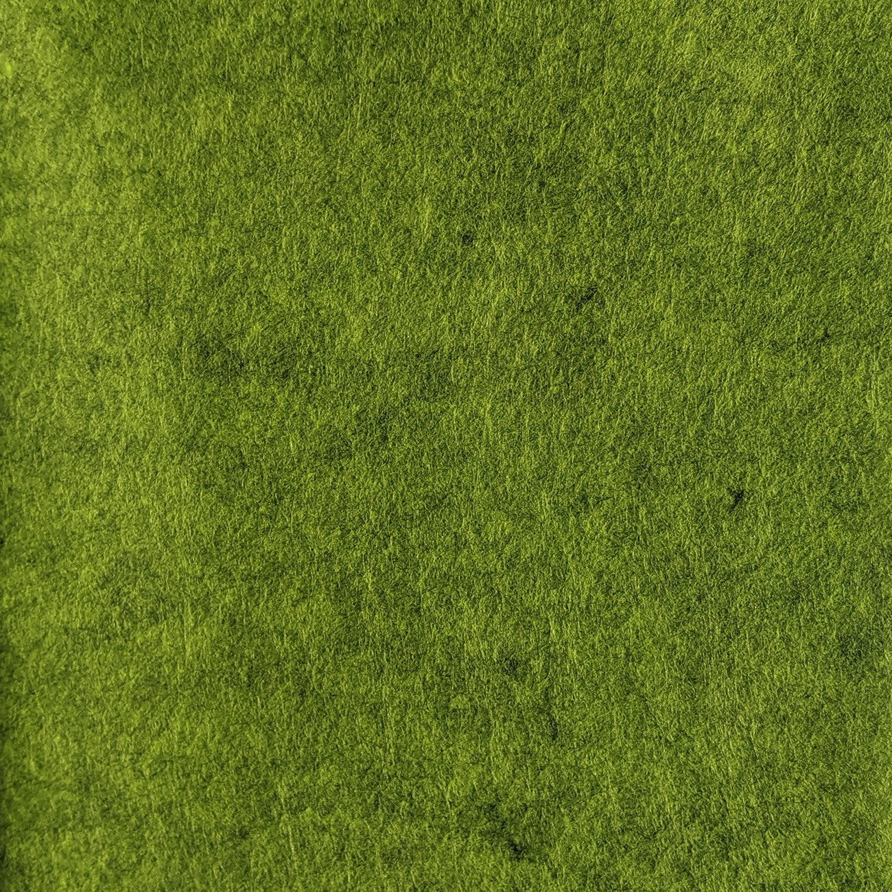 Wool Felt Gremlin Green 36in x 36in