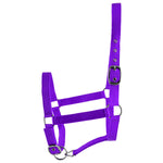Jeffers Adjustable Nylon Full Size Horse Halter
