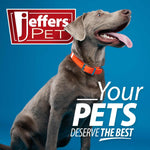 Jeffers Big Mouth Bass Plush Squeaker Dog Toy