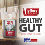 Jeffers Healthy Gut Gastric Support Liquid Supplement for Horses