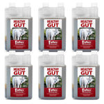 Jeffers Healthy Gut Gastric Support Liquid Supplement for Horses