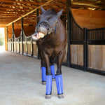 Jeffers Romper Stomper "Stomp-Free" Fly Boots for Horses, 4 pack