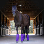 Jeffers Romper Stomper "Stomp-Free" Fly Boots for Horses, 4 pack