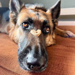 Wonder Bark Everyday All Natural Grain-Free Dog Treats